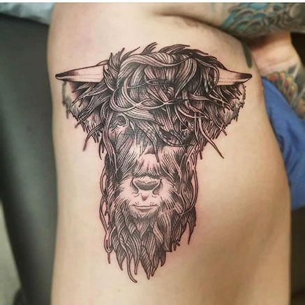 Shaggy Goat